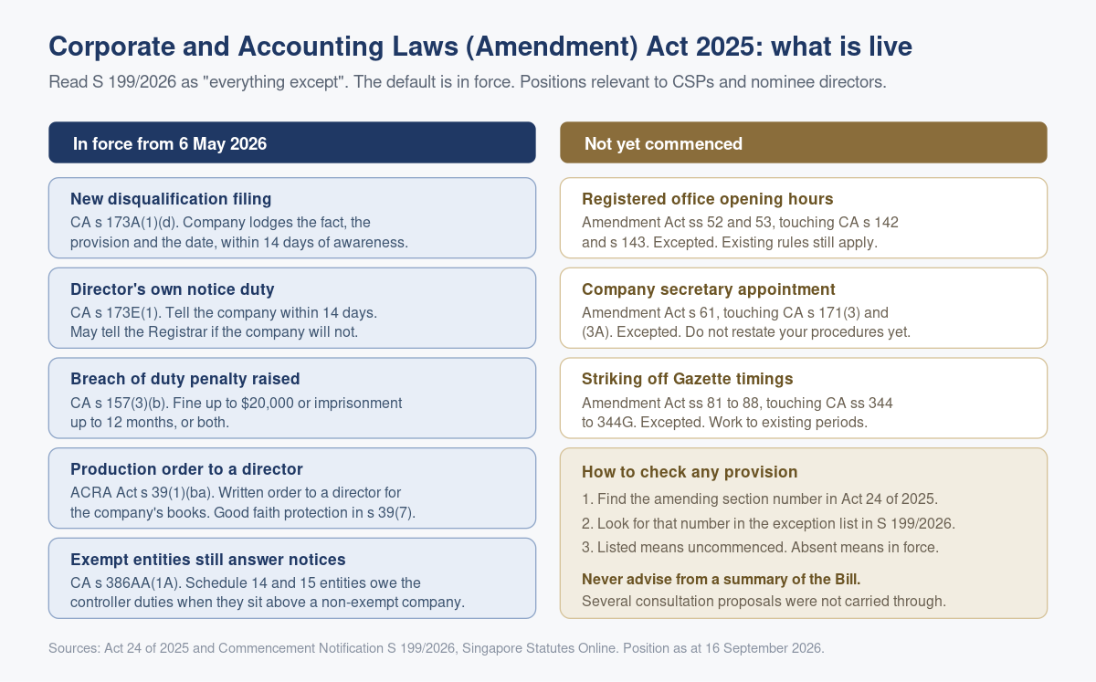 Chart demonstrating commencement timeline and penalties under the Corporate and Accounting Laws Amendment Act 2025